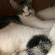 ヒメ日記 2025/02/18 02:12 投稿 河美　ひらり OL精薬