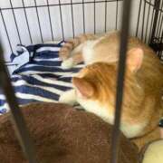 ヒメ日記 2025/02/20 01:19 投稿 河美　ひらり OL精薬