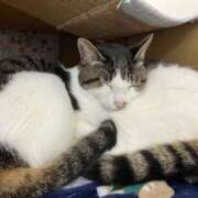 ヒメ日記 2025/02/22 00:18 投稿 河美　ひらり OL精薬