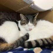 ヒメ日記 2025/02/22 01:04 投稿 河美　ひらり OL精薬