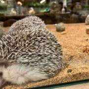 ヒメ日記 2025/02/23 01:03 投稿 河美　ひらり OL精薬