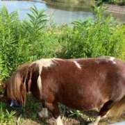 ヒメ日記 2025/02/24 00:48 投稿 河美　ひらり OL精薬