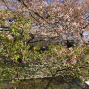 ヒメ日記 2025/02/25 01:12 投稿 河美　ひらり OL精薬