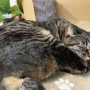 ヒメ日記 2025/03/03 23:34 投稿 河美　ひらり OL精薬