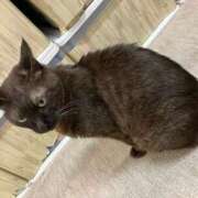 ヒメ日記 2025/03/13 01:42 投稿 河美　ひらり OL精薬