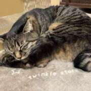 ヒメ日記 2025/03/30 01:42 投稿 河美　ひらり OL精薬