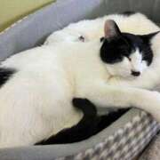 ヒメ日記 2025/04/03 02:12 投稿 河美　ひらり OL精薬