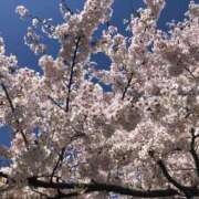 ヒメ日記 2025/04/06 01:03 投稿 河美　ひらり OL精薬