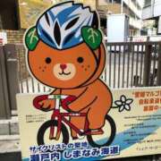 ヒメ日記 2025/04/06 09:33 投稿 河美　ひらり OL精薬