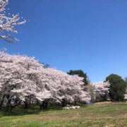 ヒメ日記 2025/04/13 00:03 投稿 河美　ひらり OL精薬