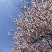 ヒメ日記 2025/04/14 00:03 投稿 河美　ひらり OL精薬