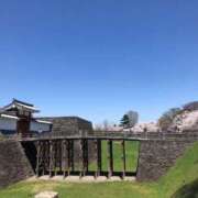 ヒメ日記 2025/04/14 01:33 投稿 河美　ひらり OL精薬