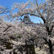 ヒメ日記 2025/04/19 02:03 投稿 河美　ひらり OL精薬