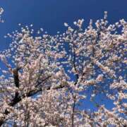 ヒメ日記 2025/04/27 00:24 投稿 河美　ひらり OL精薬