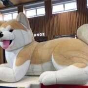 ヒメ日記 2025/04/29 00:48 投稿 河美　ひらり OL精薬