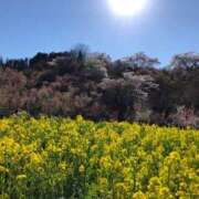 ヒメ日記 2025/04/30 00:33 投稿 河美　ひらり OL精薬