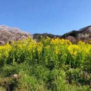 ヒメ日記 2025/05/03 01:18 投稿 河美　ひらり OL精薬