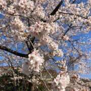 ヒメ日記 2025/05/05 01:03 投稿 河美　ひらり OL精薬