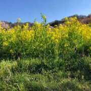 ヒメ日記 2025/05/06 00:33 投稿 河美　ひらり OL精薬