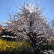 ヒメ日記 2025/05/07 00:42 投稿 河美　ひらり OL精薬