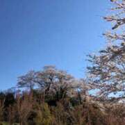 ヒメ日記 2025/05/11 02:12 投稿 河美　ひらり OL精薬