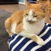 ヒメ日記 2025/05/15 01:48 投稿 河美　ひらり OL精薬