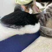 ヒメ日記 2025/05/21 01:48 投稿 河美　ひらり OL精薬