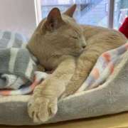 ヒメ日記 2025/05/23 00:48 投稿 河美　ひらり OL精薬