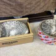 ヒメ日記 2025/05/23 00:57 投稿 河美　ひらり OL精薬