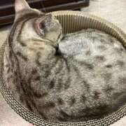 ヒメ日記 2025/05/26 00:42 投稿 河美　ひらり OL精薬