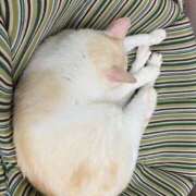 ヒメ日記 2025/05/27 01:03 投稿 河美　ひらり OL精薬