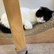 ヒメ日記 2025/05/31 00:06 投稿 河美　ひらり OL精薬