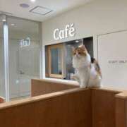 ヒメ日記 2025/06/02 00:06 投稿 河美　ひらり OL精薬