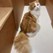 ヒメ日記 2025/06/02 00:21 投稿 河美　ひらり OL精薬