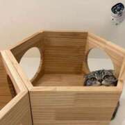 ヒメ日記 2025/06/03 01:03 投稿 河美　ひらり OL精薬