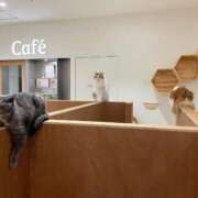 ヒメ日記 2025/06/09 01:18 投稿 河美　ひらり OL精薬