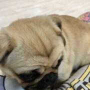 ヒメ日記 2025/06/15 01:21 投稿 河美　ひらり OL精薬