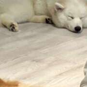 ヒメ日記 2025/06/16 00:06 投稿 河美　ひらり OL精薬