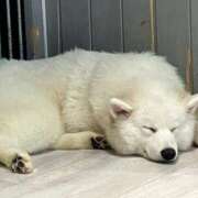 ヒメ日記 2025/06/16 00:33 投稿 河美　ひらり OL精薬