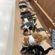 ヒメ日記 2025/06/22 02:36 投稿 河美　ひらり OL精薬