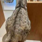 ヒメ日記 2025/06/26 02:12 投稿 河美　ひらり OL精薬