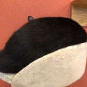 ヒメ日記 2025/06/28 01:06 投稿 河美　ひらり OL精薬