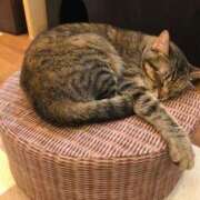 ヒメ日記 2025/06/28 01:36 投稿 河美　ひらり OL精薬