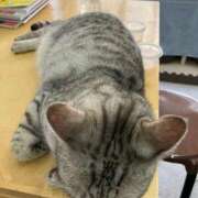 ヒメ日記 2025/07/12 00:33 投稿 河美　ひらり OL精薬