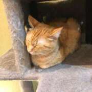 ヒメ日記 2025/07/28 00:18 投稿 河美　ひらり OL精薬