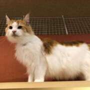 ヒメ日記 2025/08/07 01:21 投稿 河美　ひらり OL精薬