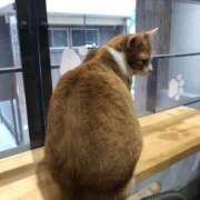 ヒメ日記 2025/08/10 01:39 投稿 河美　ひらり OL精薬