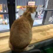 ヒメ日記 2025/08/11 00:24 投稿 河美　ひらり OL精薬