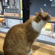 ヒメ日記 2025/08/11 00:39 投稿 河美　ひらり OL精薬