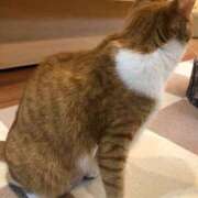 ヒメ日記 2025/08/14 00:30 投稿 河美　ひらり OL精薬